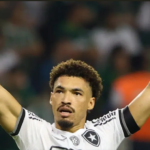 Botafogo esmaga Palmeiras, cala Allianz e fica perto do título brasileiro