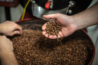 Lotes de café são declassificados inadequados para consumo pelo Ministério da Agricultura e Pecuária
