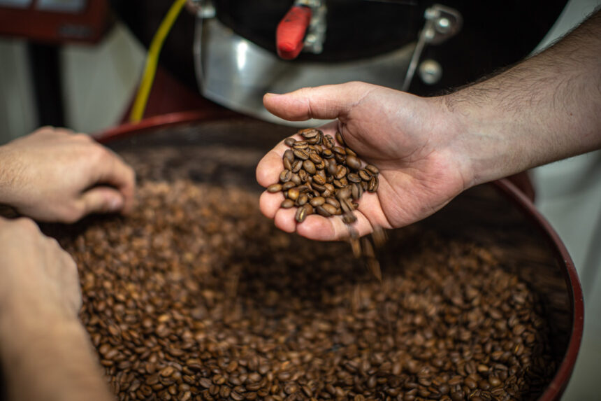 Lotes de café são declassificados inadequados para consumo pelo Ministério da Agricultura e Pecuária Lotes de café são declassificados inadequados para consumo pelo Ministério da Agricultura e Pecuária
