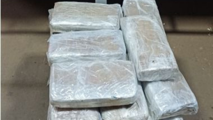 PCGO prende homem que despachou mais de 40 quilogramas de ‘super maconha’ em caminhão cegonha