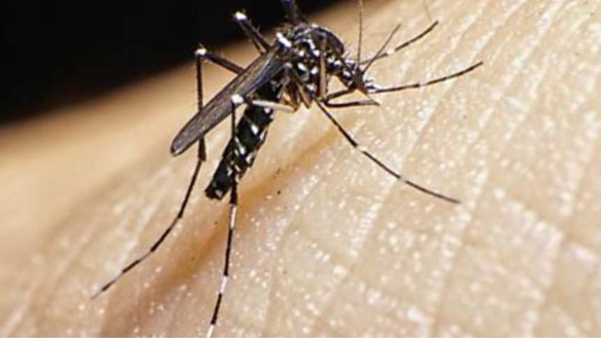 Lula Concede Indenização de R$ 60 Mil a Crianças Vítimas do Zika e Veta Pensão Permanente Lula Concede Indenização de R$ 60 Mil a Crianças Vítimas do Zika e Veta Pensão Permanente
