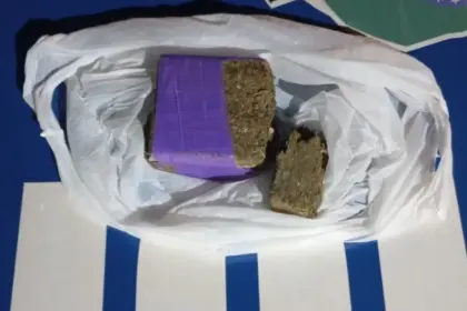 Polícia Militar desmantela tráfico de drogas em São Francisco de Goiás com detenção de dois indivíduos