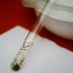 Dengue: pesquisadores da Fiocruz criam isca capaz de capturar quase o dobro de ovos de mosquitos