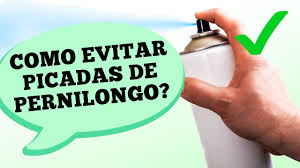 Dr. Ajuda: como evitar picadas de pernilongos Dr. Ajuda: como evitar picadas de pernilongos