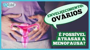 Dr. Ajuda: como os ovários envelhecem? Devo fazer reposição hormonal? Dr. Ajuda: como os ovários envelhecem? Devo fazer reposição hormonal?