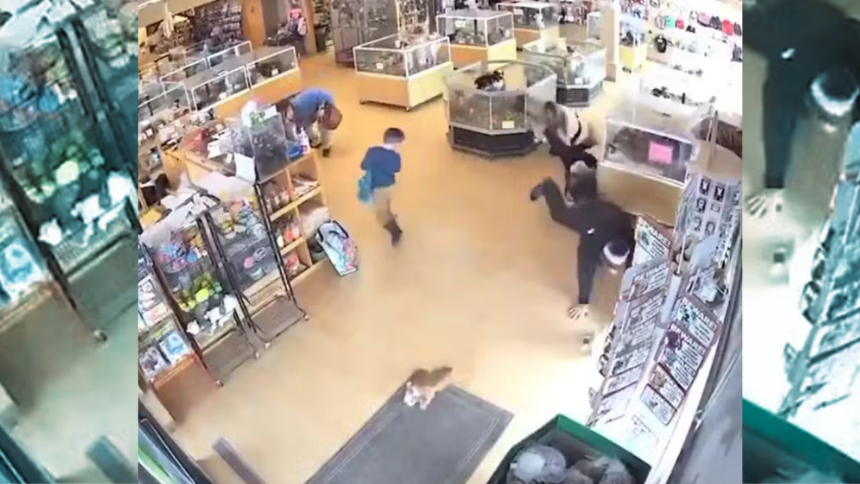 Homem finge convulsão para roubar cães em pet shop nos EUA.
