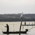 Período de defeso na Bacia Hidrográfica do Rio Amazonas termina em 28 de fevereiro