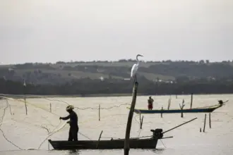 Período de defeso na Bacia Hidrográfica do Rio Paraguai termina em 28 de fevereiro