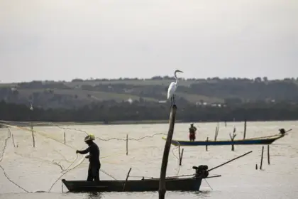 Período de defeso na Bacia Hidrográfica do Rio São Francisco termina em 28 de fevereiro