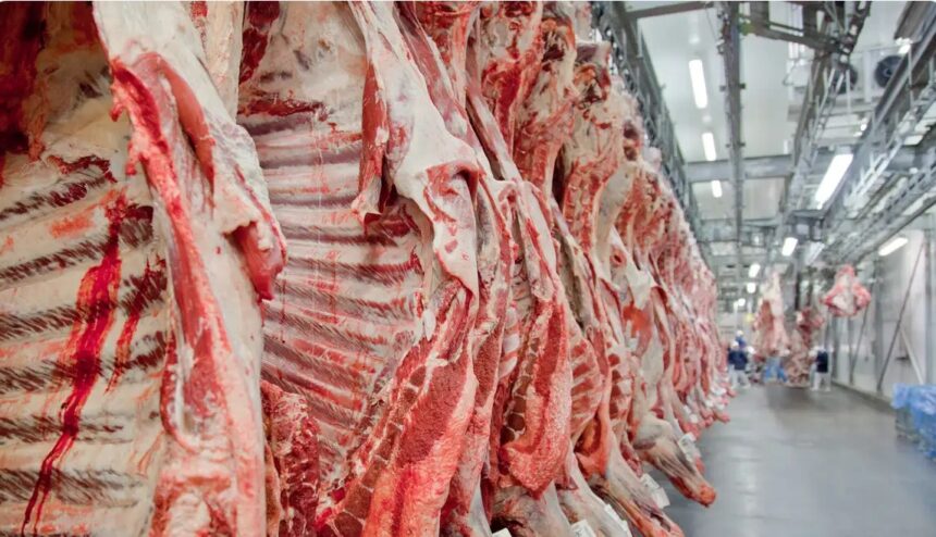 Goiânia tem a maior queda no preço da cesta básica do Brasil, aponta Dieese Goiânia tem a maior queda no preço da cesta básica do Brasil, aponta Dieese