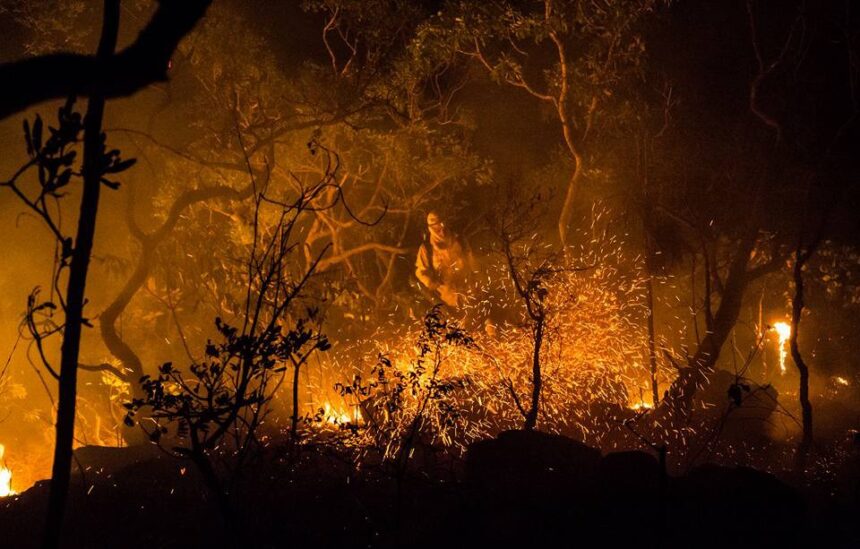 Fapeg investe R$ 1 milhão na prevenção de incêndios no Cerrado