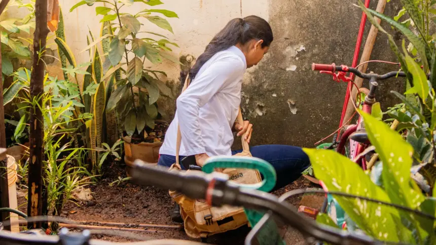 Goianésia registra redução de 88% nos casos de dengue após ações de prevenção da Prefeitura Goianésia registra redução de 88% nos casos de dengue após ações de prevenção da Prefeitura
