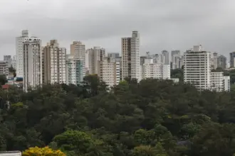 São Paulo lidera ranking de cidades brasileiras com maior intensidade de ligações empresariais