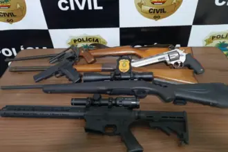 Polícia apreende de armas de fogo em residência de suspeito de violência doméstica