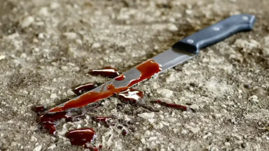 Tragédia em Goianésia: Mulher é morta na região oeste com mais de 30 facadas
