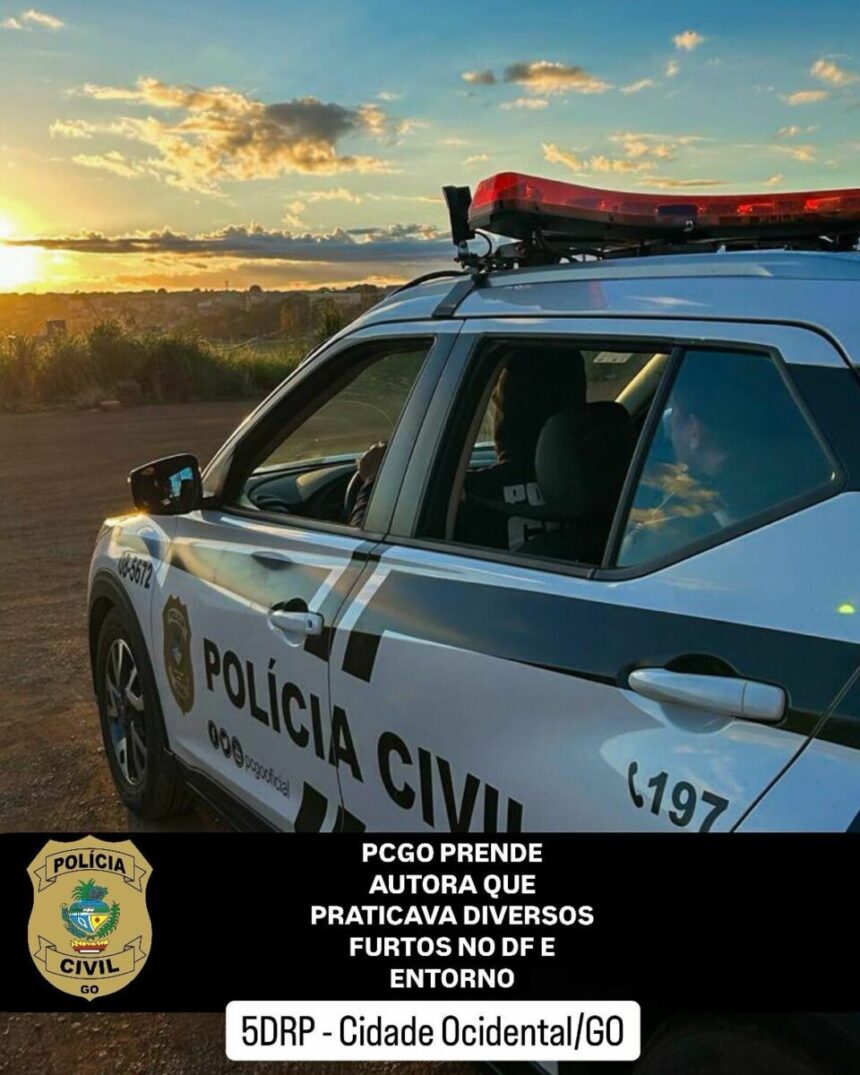 Mulher é presa após praticar diverso furtos qualificados em Brasília e no Entorno Mulher é presa após praticar diverso furtos qualificados em Brasília e no Entorno