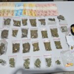 PCGO apreende drogas sintéticas e alucinógenos em Cavalcante – Policia Civil do Estado de Goiás