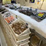 Preços de pescados podem ter variação de até 268%