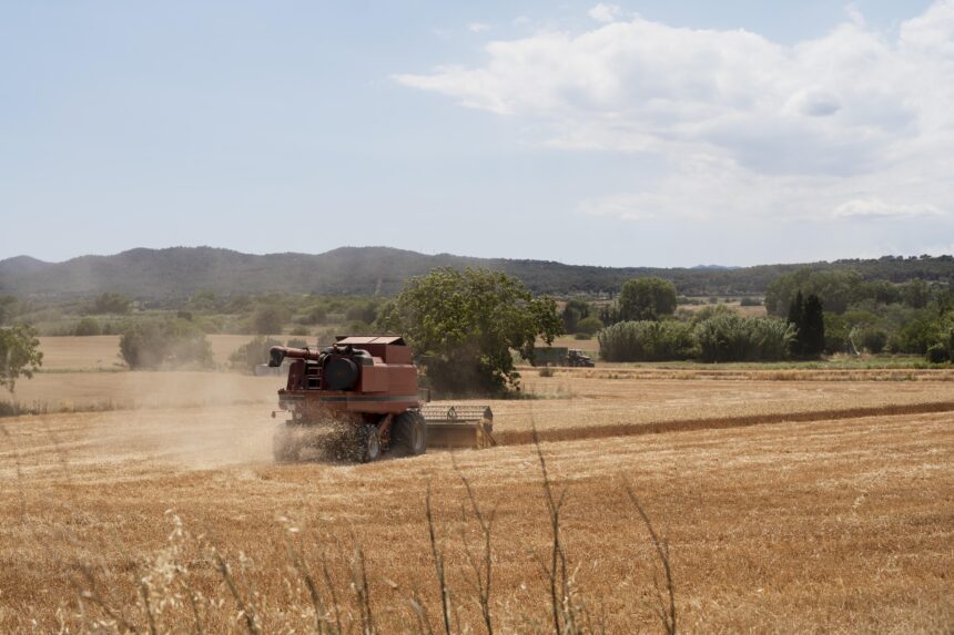 Valor da Terra Nua (VTN): prazo para envio termina nesta quarta (30) Valor da Terra Nua (VTN): prazo para envio termina nesta quarta (30)