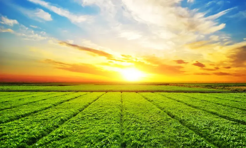 Qual a diferença de Engenharia Agrícola para Agronomia? Qual a diferença de Engenharia Agrícola para Agronomia?