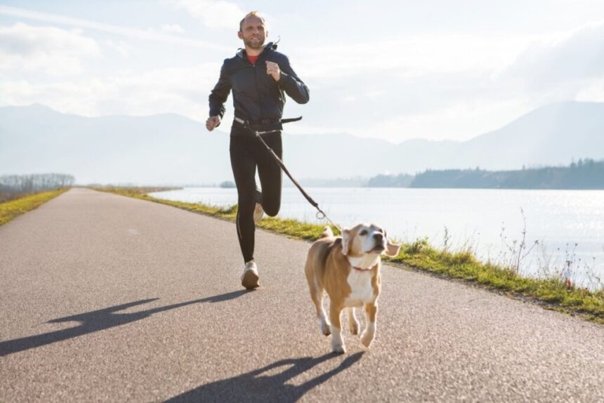 7 atividades físicas para praticar com o cachorro 7 atividades físicas para praticar com o cachorro