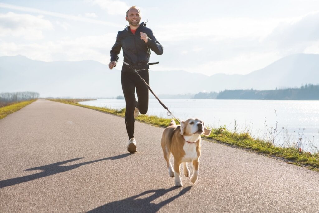 7 atividades físicas para praticar com o cachorro 7 atividades físicas para praticar com o cachorro