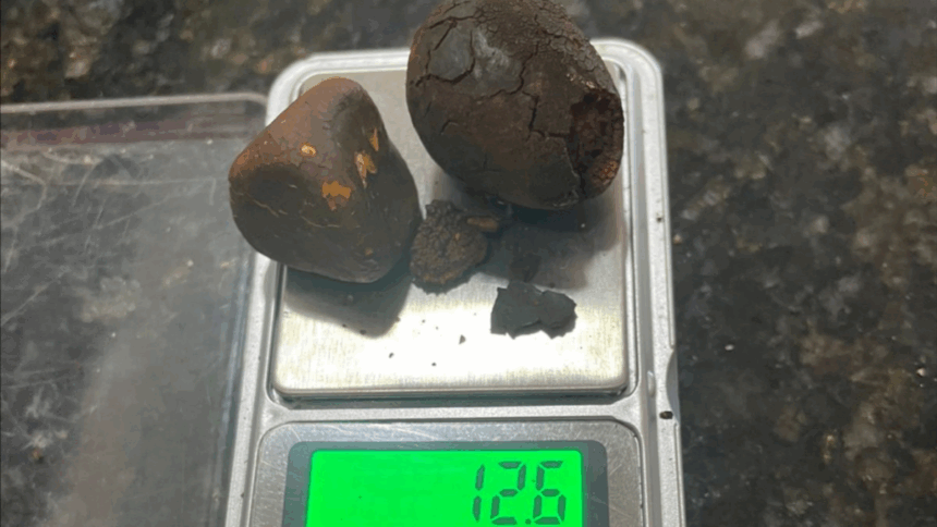 PCGO prende dupla em flagrante em Cachoeira Alta por furtar pedras biliares de frigorífico – Policia Civil do Estado de Goiás PCGO prende dupla em flagrante em Cachoeira Alta por furtar pedras biliares de frigorífico – Policia Civil do Estado de Goiás