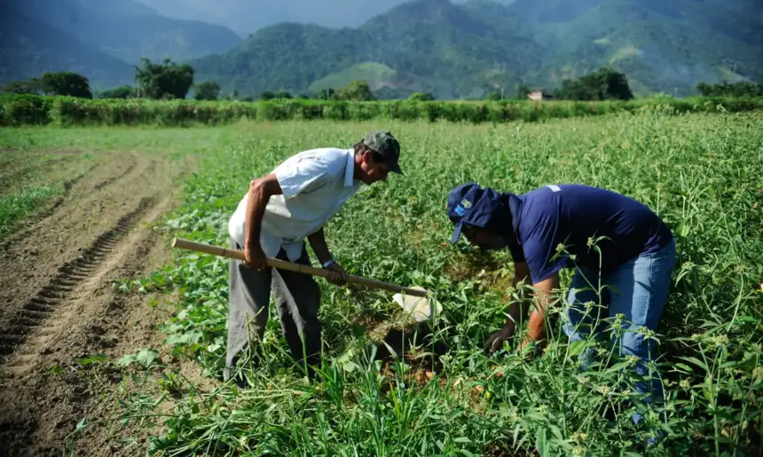 Pronaf: BASA projeta atender 30 mil famílias com R$ 2,5 bi em financiamentos, em 2025 Pronaf: BASA projeta atender 30 mil famílias com R$ 2,5 bi em financiamentos, em 2025