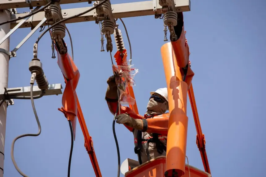 Pipas fora de época acendem alerta para segurança da rede elétrica em Goiás Pipas fora de época acendem alerta para segurança da rede elétrica em Goiás
