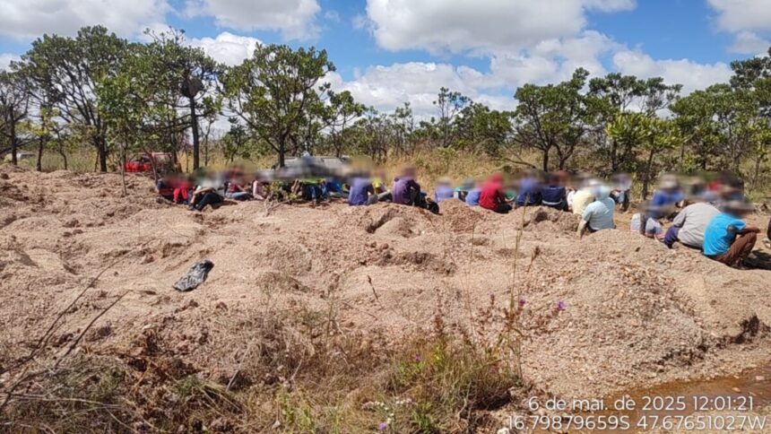 Em operação integrada, PCGO e PMGO combatem a exploração ilegal de minérios (garimpagem) na zona rural de Cristalina Em operação integrada, PCGO e PMGO combatem a exploração ilegal de minérios (garimpagem) na zona rural de Cristalina