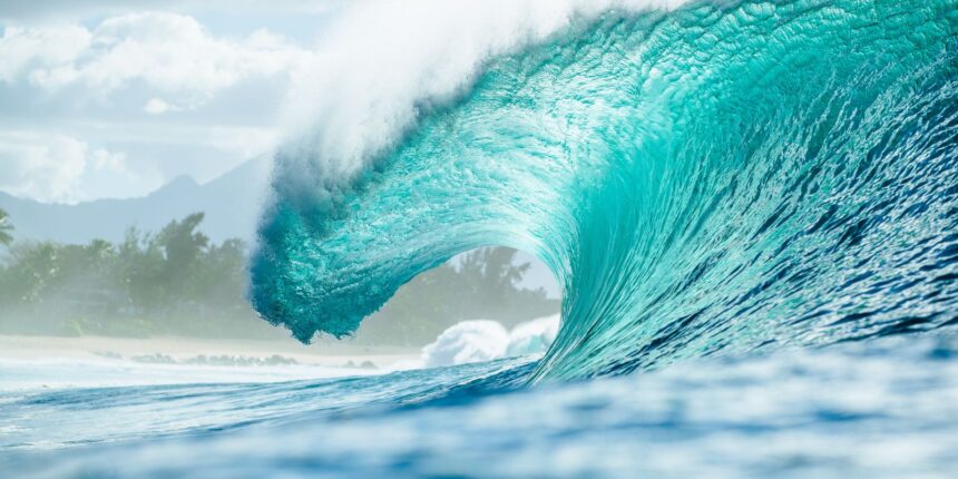 Pipeline volta a sediar a etapa final do Circuito Mundial de Surfe Pipeline volta a sediar a etapa final do Circuito Mundial de Surfe