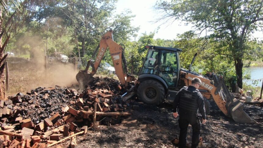 PCGO desativa fornalhas usadas para produção ilegal de carvão – Policia Civil do Estado de Goiás