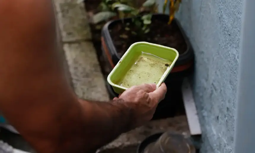 Dengue: saiba os cuidados para evitar focos do mosquito transmissor Dengue: saiba os cuidados para evitar focos do mosquito transmissor