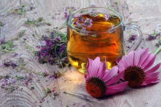 5 chás para ajudar a prevenir doenças no inverno