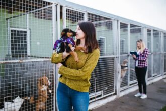 7 meios de adotar um animal de estimação