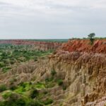 3 destinos exclusivos para explorar a vida selvagem africana