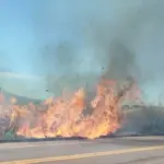 Três incêndios em vegetação mobilizam bombeiros em Goianésia neste sábado
