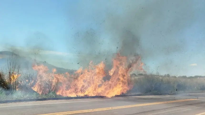 Três incêndios em vegetação mobilizam bombeiros em Goianésia neste sábado Três incêndios em vegetação mobilizam bombeiros em Goianésia neste sábado