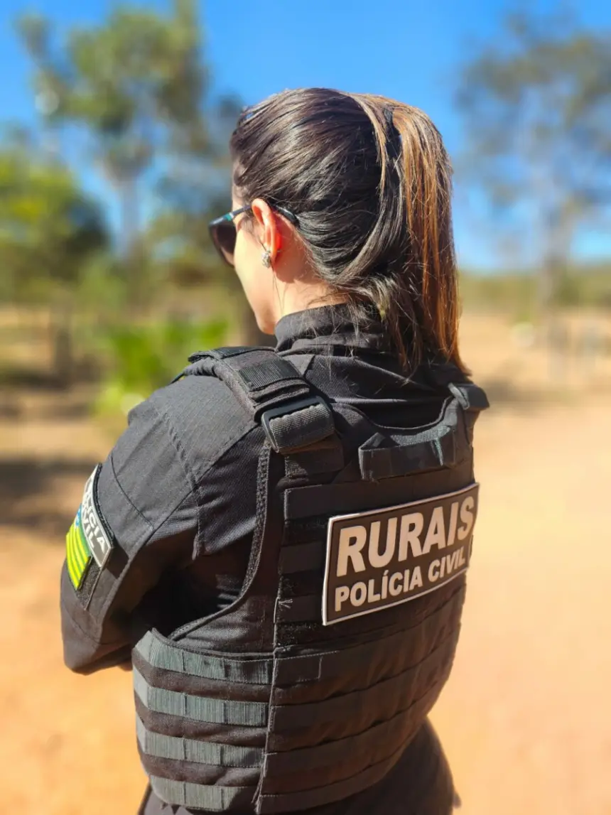 Operação Pasto Vazio investiga furto de mais de 150 cabeças de gado; animais tiveram brincos de identificação retirados