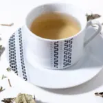 7 receitas de chá de espinheira-santa e seus benefícios para a saúde