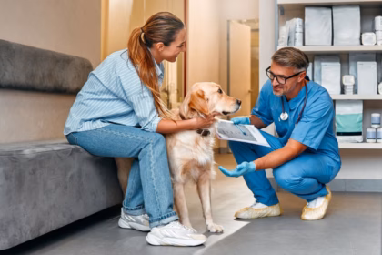 8 dicas para escolher o melhor veterinário para o seu pet 