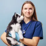 8 doenças comuns em filhotes de cachorro e gato 