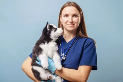 8 doenças comuns em filhotes de cachorro e gato 