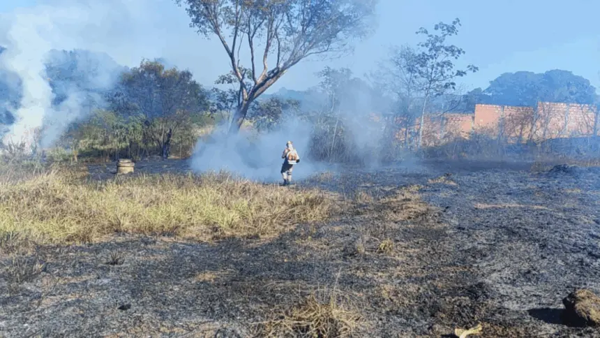 Goiás decreta situação de emergência ambiental por risco extremo de queimadas Goiás decreta situação de emergência ambiental por risco extremo de queimadas