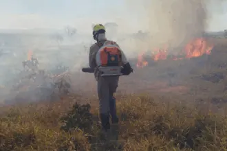 Incêndio florestal atinge área rural de Vila Propício e mobiliza Bombeiros de Goianésia