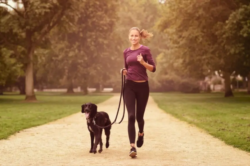 8 dicas para começar a praticar corrida com o cachorro 8 dicas para começar a praticar corrida com o cachorro