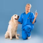 5 dicas para vacinar seu pet sem comprometer o orçamento