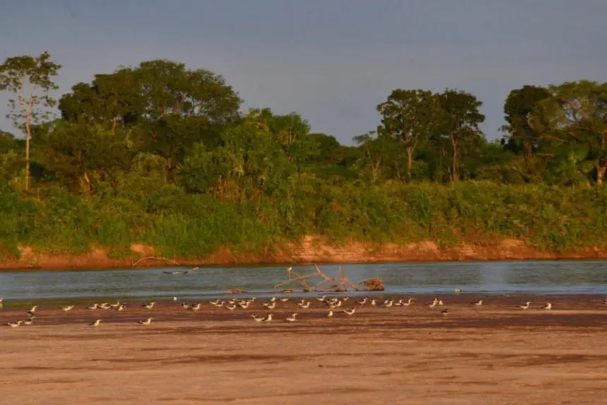 Rio Araguaia atinge menor nível histórico para agosto em Nova Crixás – Portal Goiás Rio Araguaia atinge menor nível histórico para agosto em Nova Crixás – Portal Goiás