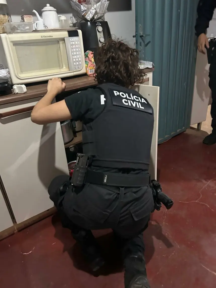 PCGO cumpre ordens judiciais e prende líder de associação criminosa que aplicava golpes na internet – Policia Civil do Estado de Goiás