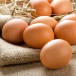 10 alimentos ricos em proteína para substituir o ovo
